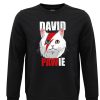 Friking David Pawie - 256A | Sudaderas Sin Capucha Nino